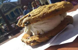 Ice Cream Cookie Sandwich