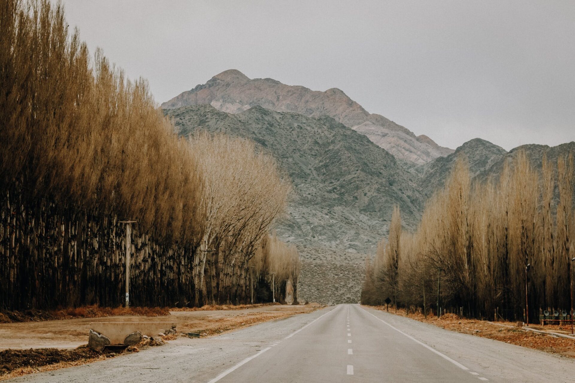 Mendoza tem vistas cinematográficas, sendo um excelente destino para amantes de vinhos e gastronomia