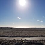 Praia de Venice Beach